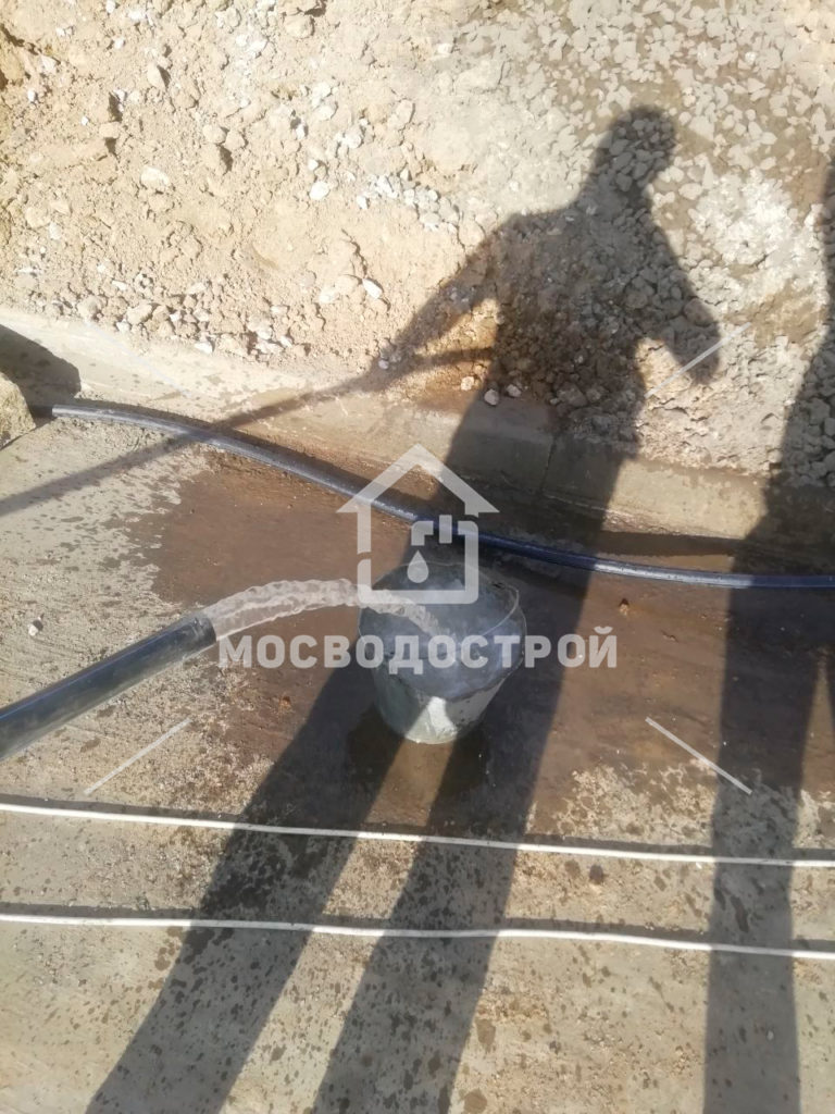 Photo 2022 06 10 10 09 15 копия6