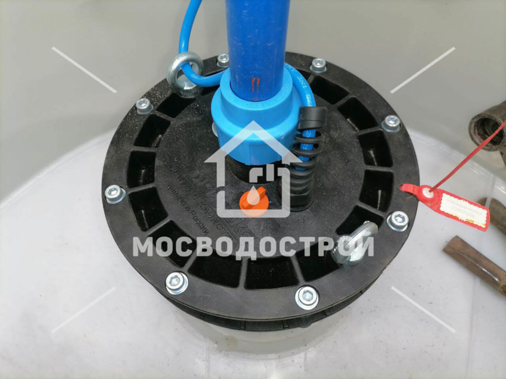 Photo 2022 06 23 21 44 31 копия4
