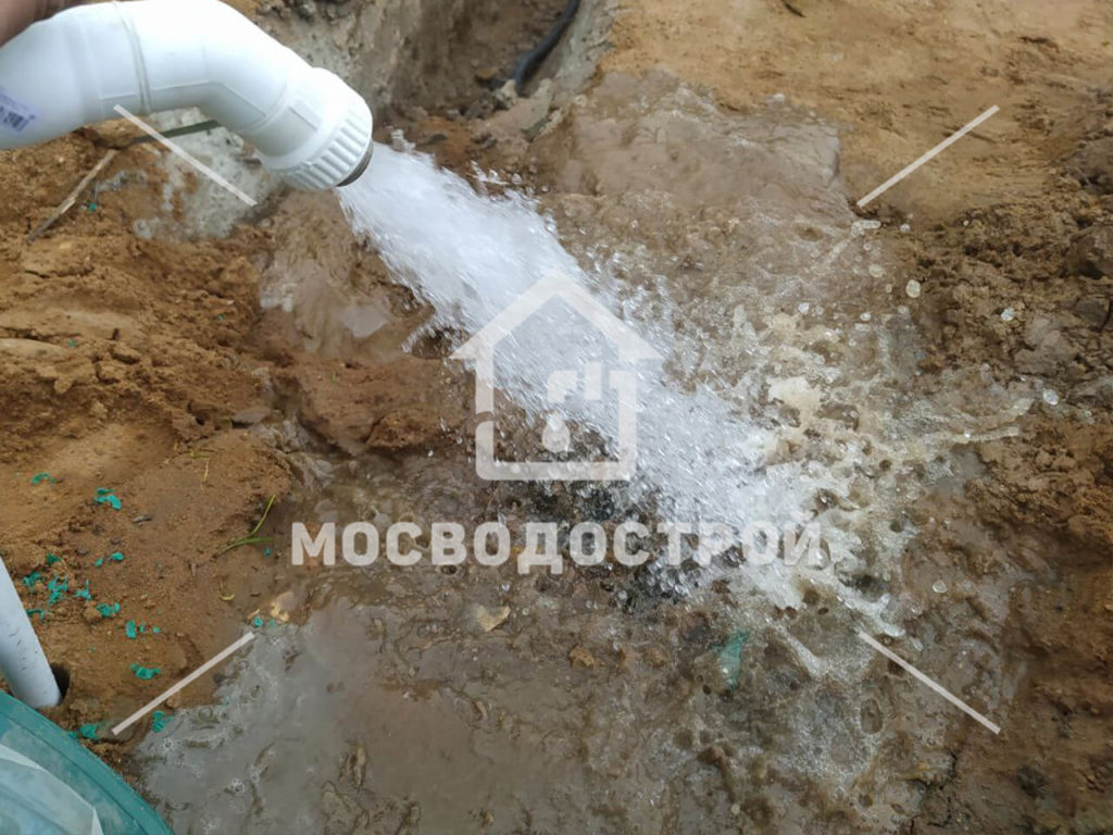 Photo 2022 06 23 22 07 01 копия5
