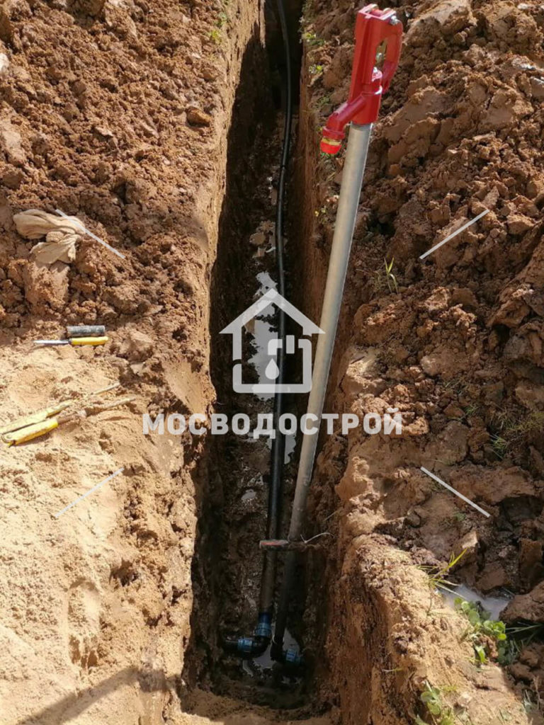 Photo 2022 06 23 22 22 56 копия4