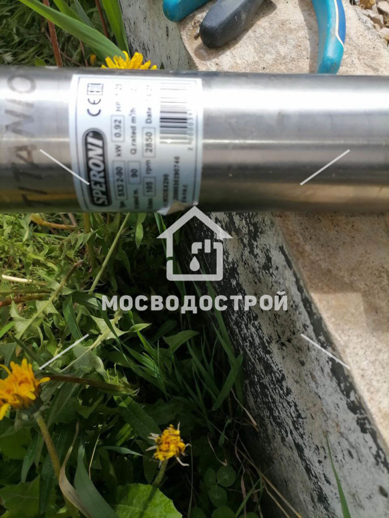 Photo 2022 06 23 22 22 56 копия5