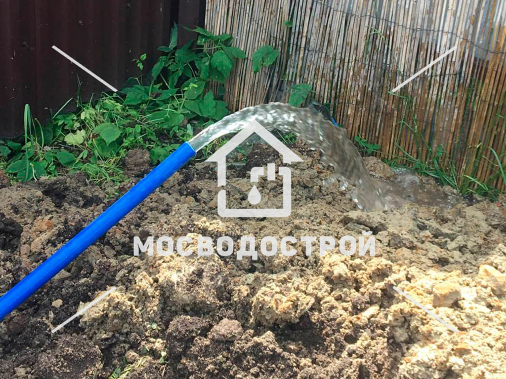Photo 2022 07 11 16 26 59 копия4