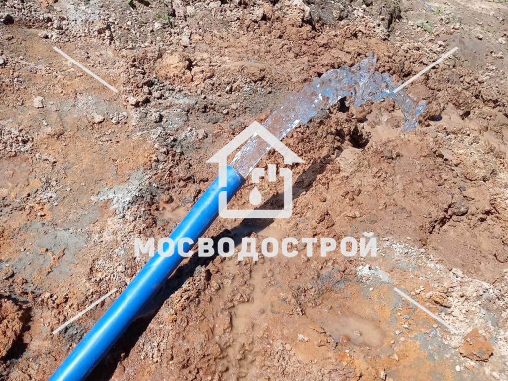Photo 2022 07 11 15 22 25 копия3