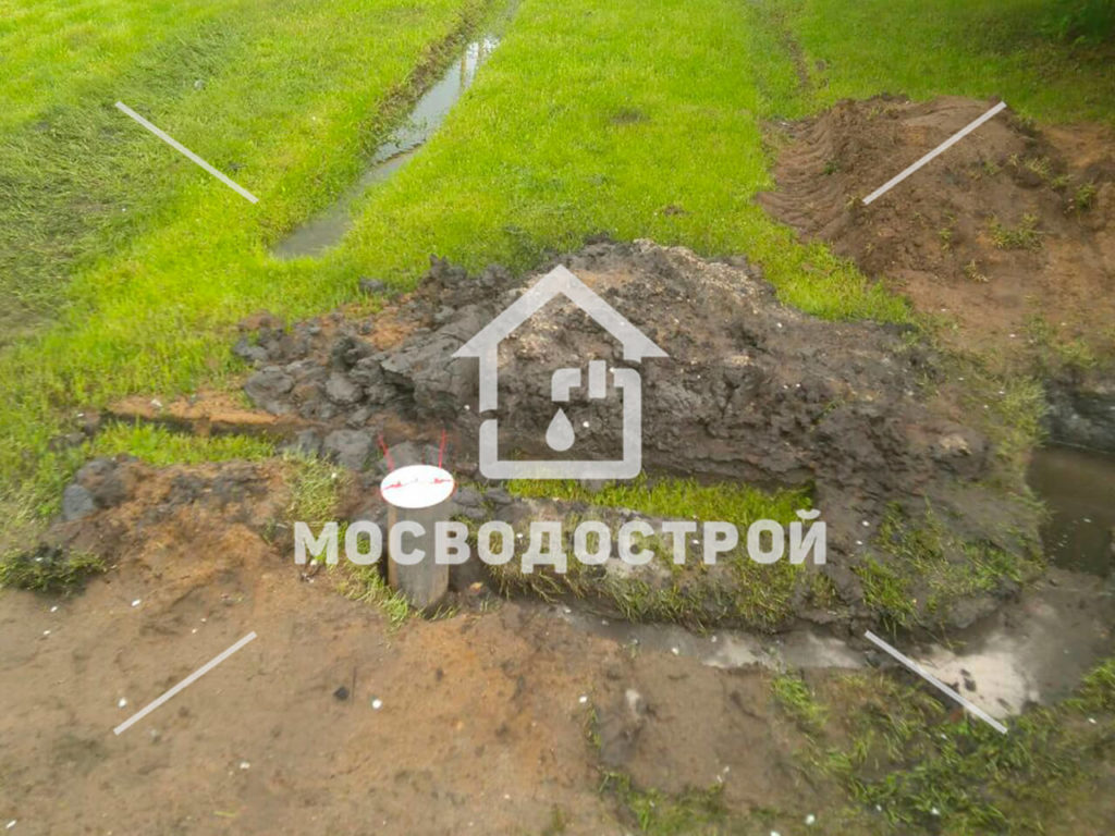 Photo 2022 07 11 15 45 28 копия3