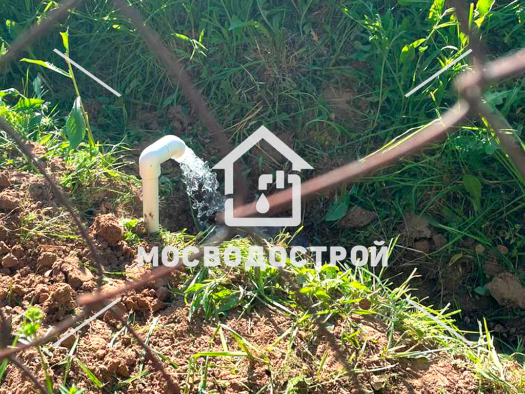 Photo 2022 07 11 16 59 41 копия3