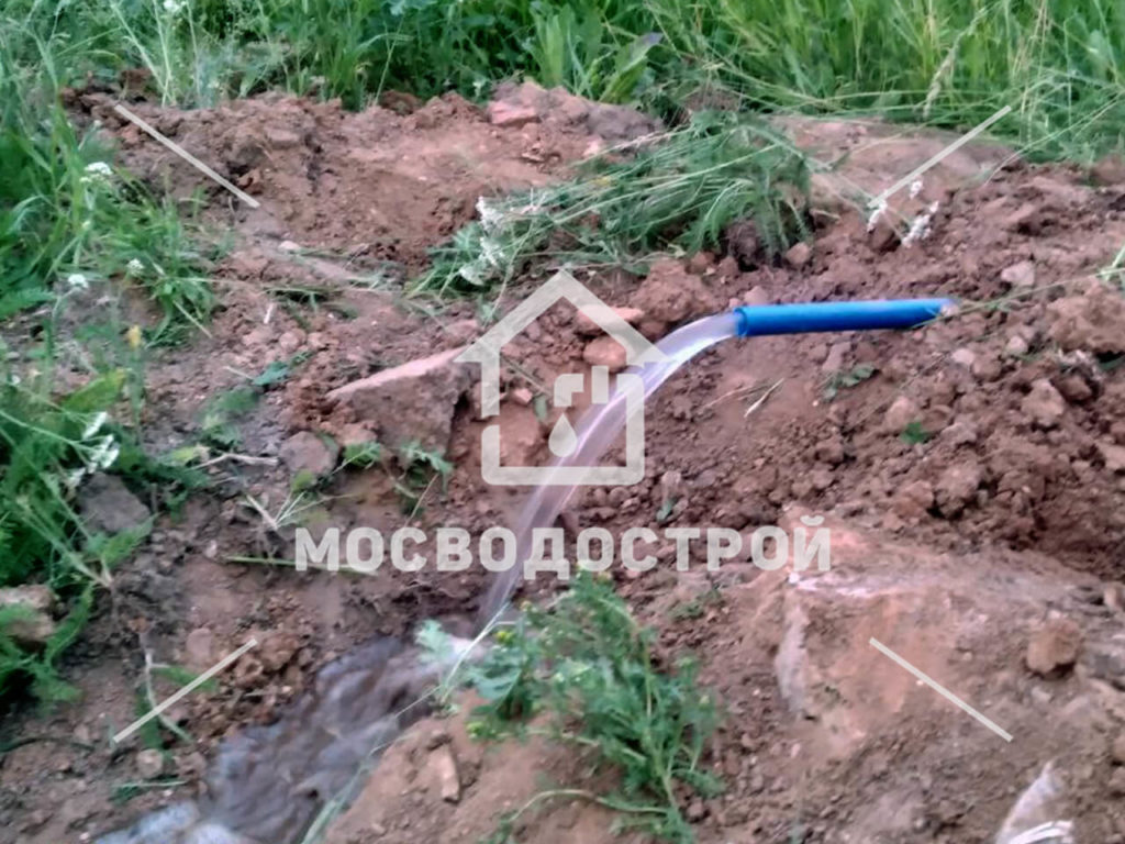 Photo 2022 07 11 17 59 15 копия2