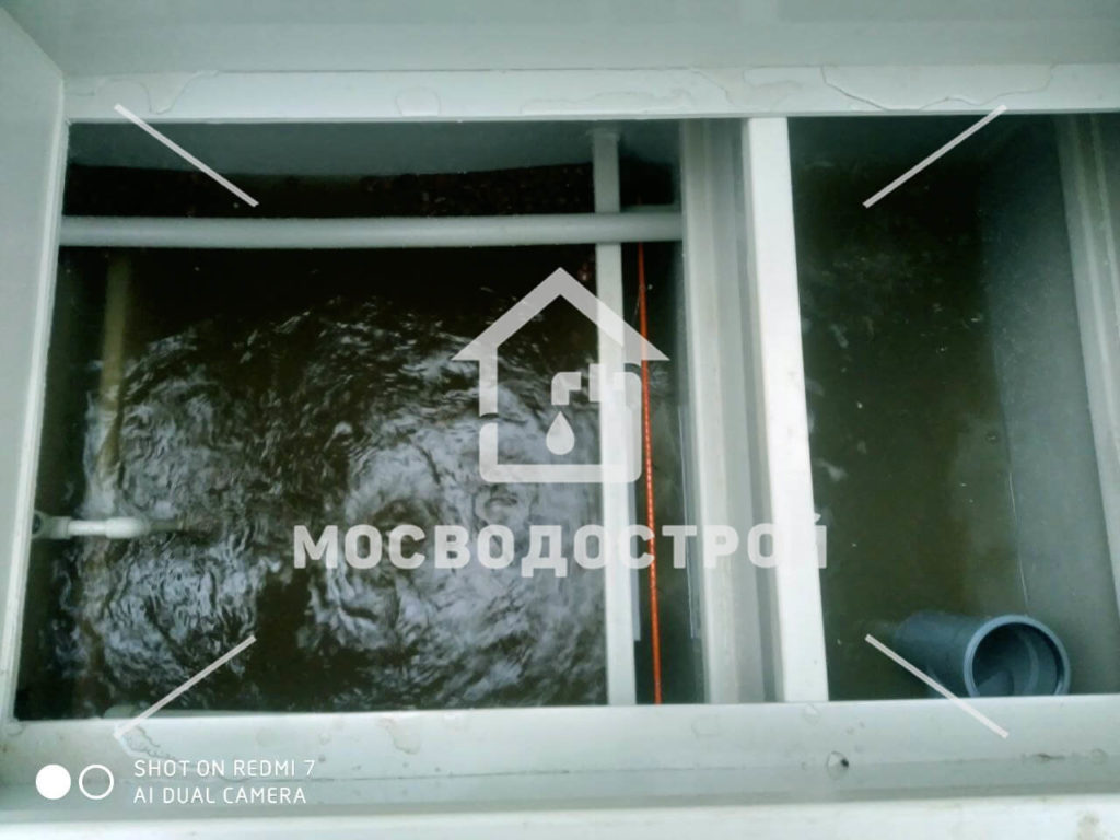 Photo 2022 07 11 17 59 15 копия3