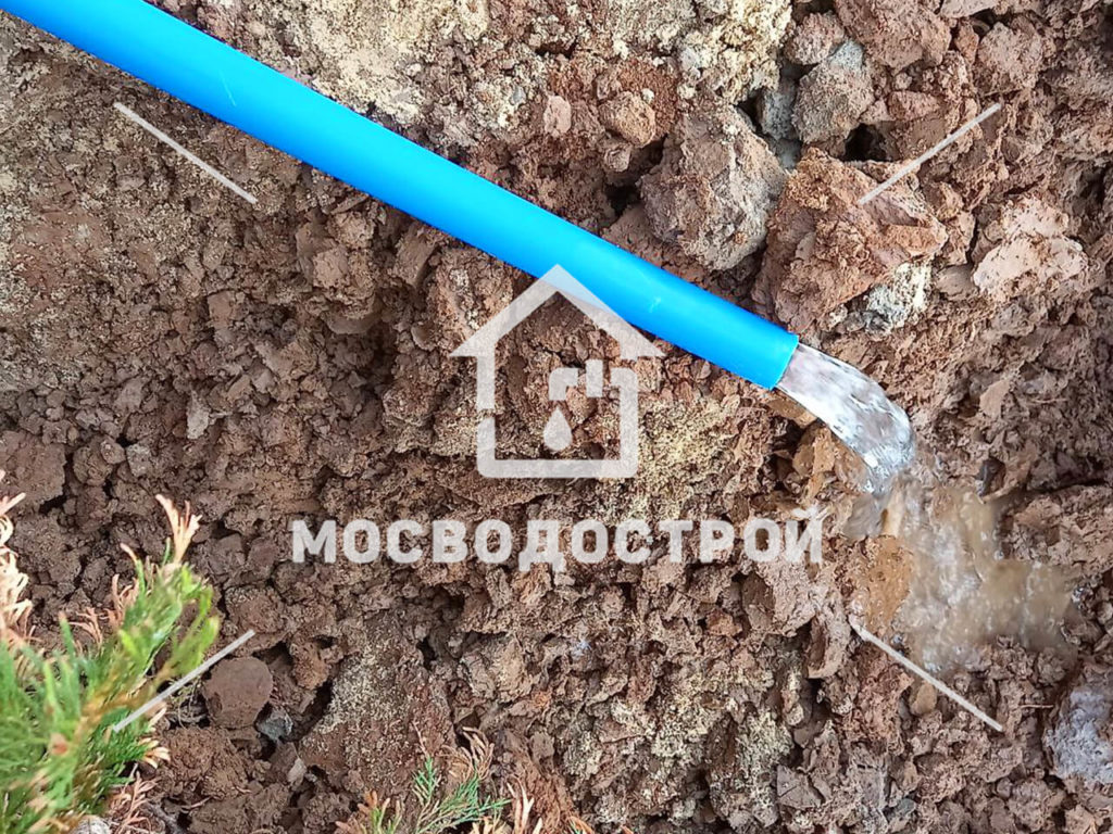 Photo 2022 07 11 18 02 44 копия4