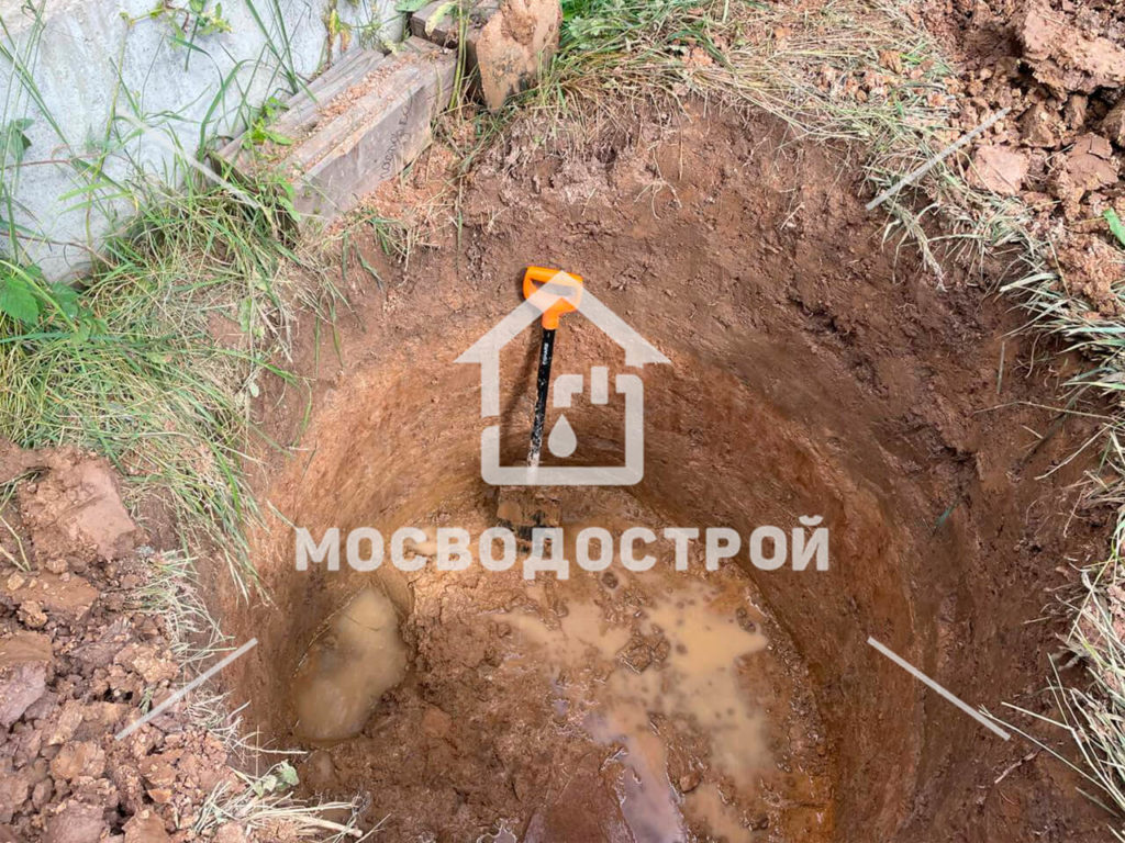 Photo 2022 07 21 14 14 56 копия4