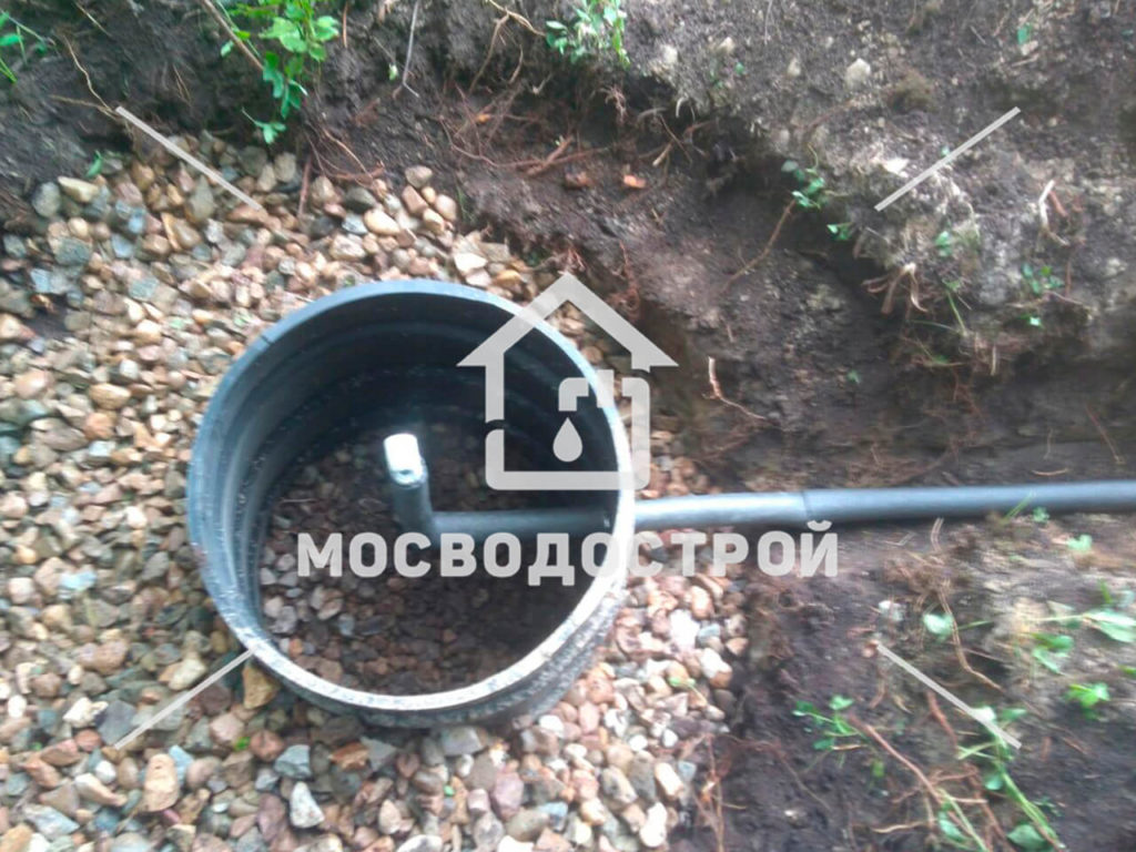Photo 2022 07 23 22 05 58 копия5