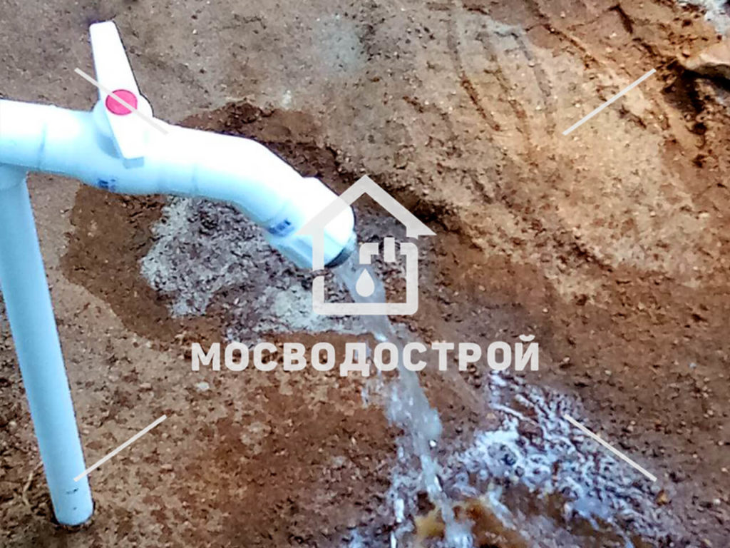 Photo 2022 07 11 18 11 21 копия2