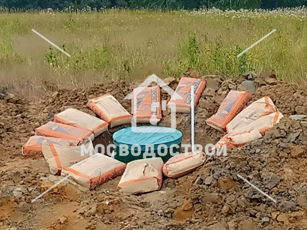 Photo 2022 08 16 02 59 42 копия 01
