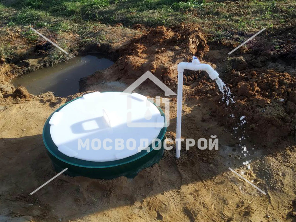 Photo 2022 08 16 03 05 04 копия