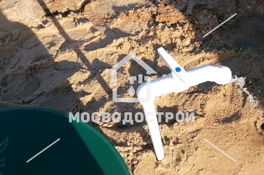 Photo 2022 11 01 16 31 27 копия3