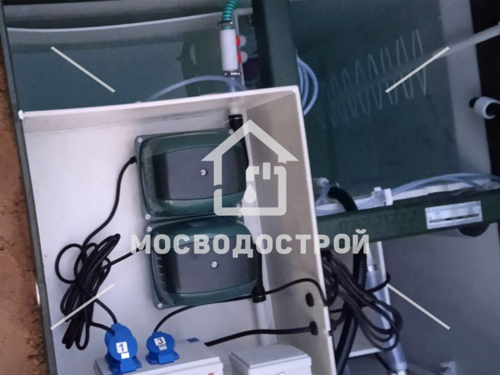 Photo 2022 11 01 16 58 52 копия3
