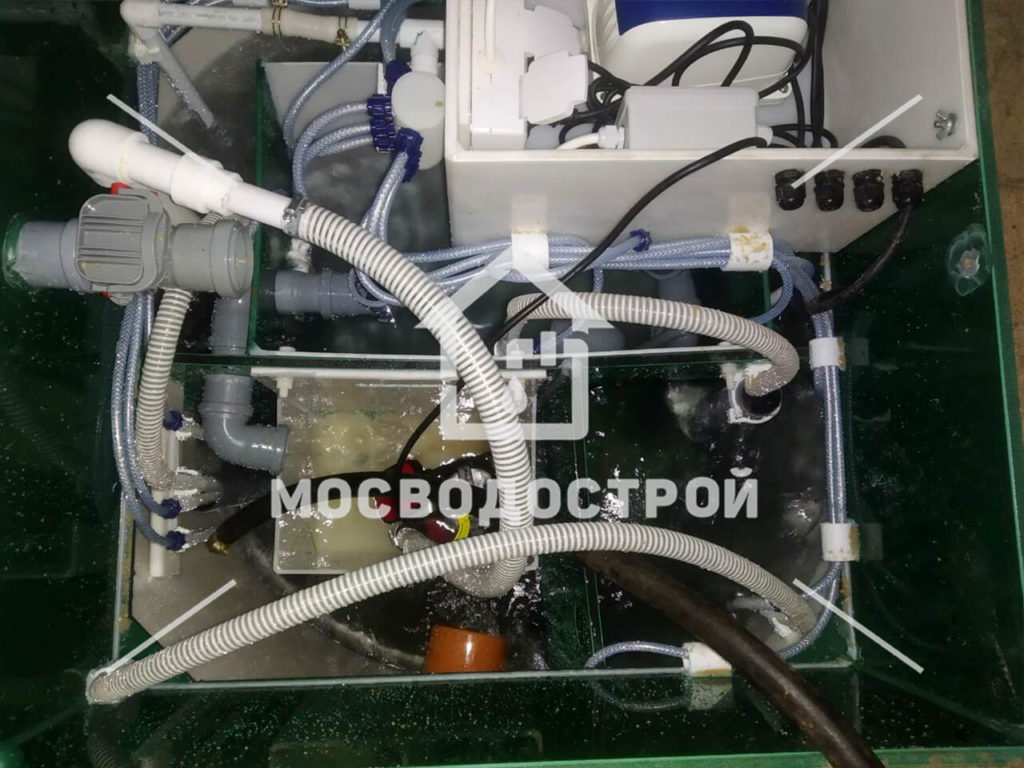 Photo 2022 09 21 15 52 19 копия2