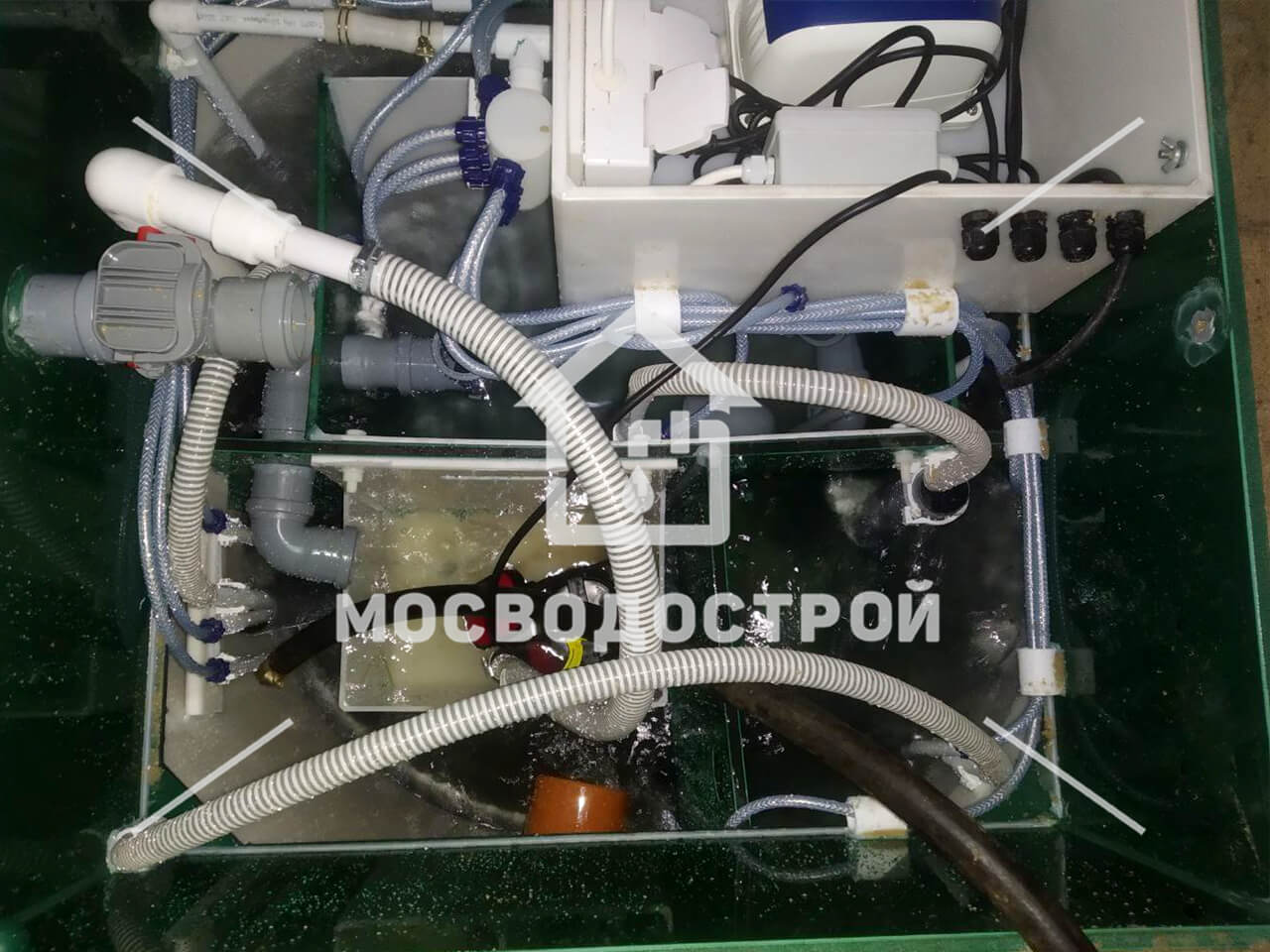 Photo 2022 09 21 15 52 19 копия2