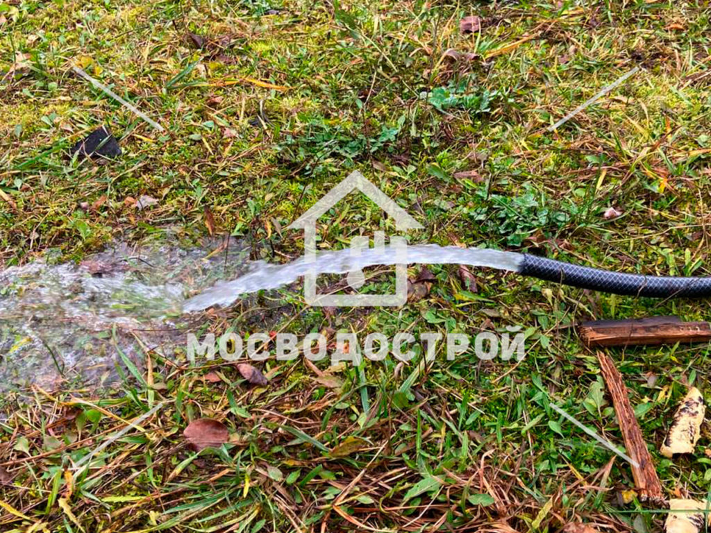 Photo 2022 11 01 17 37 17 копия2
