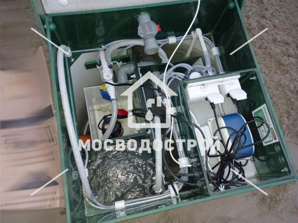 Photo 2022 11 01 17 25 46 копия2