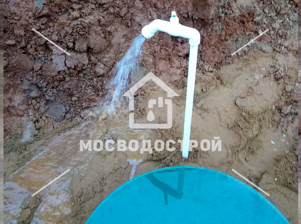 Photo 2022 11 01 17 26 11 копия2