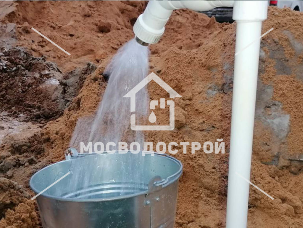 Photo 2022 11 30 22 13 37 копия2