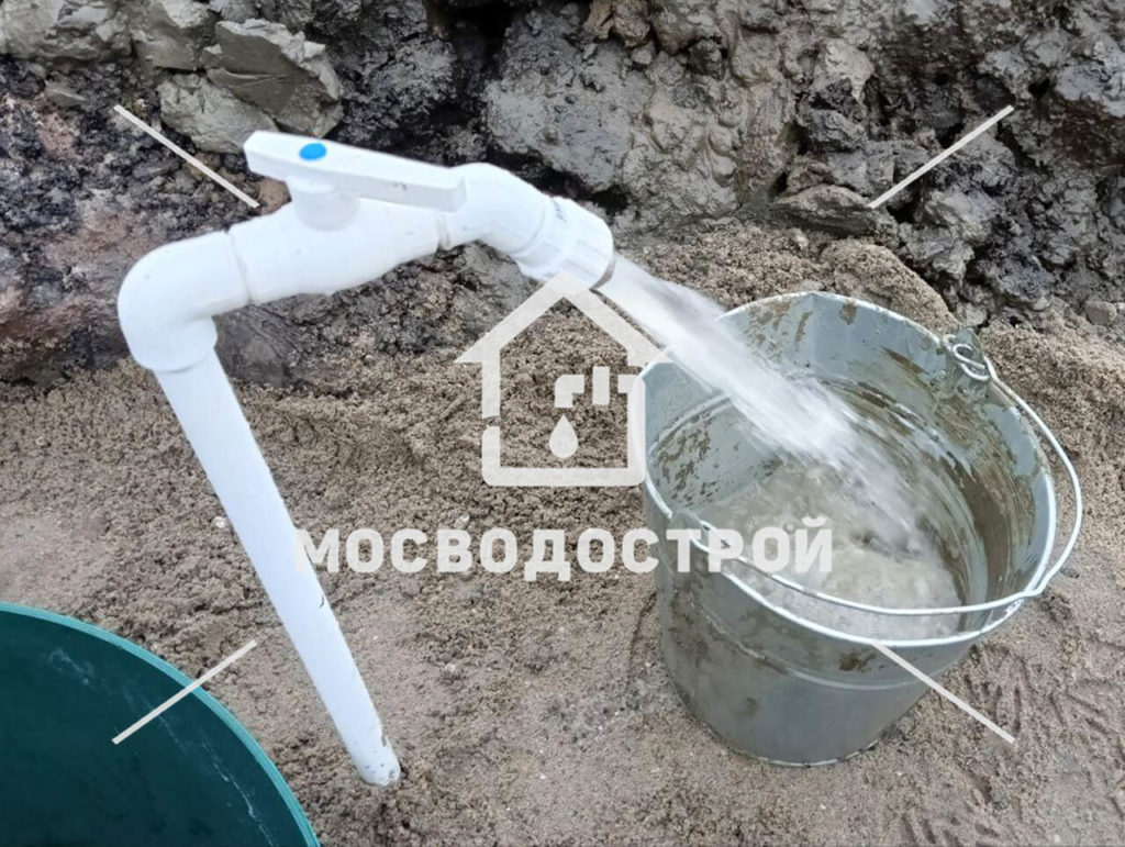 Photo 2023 01 17 09 29 04 копия3