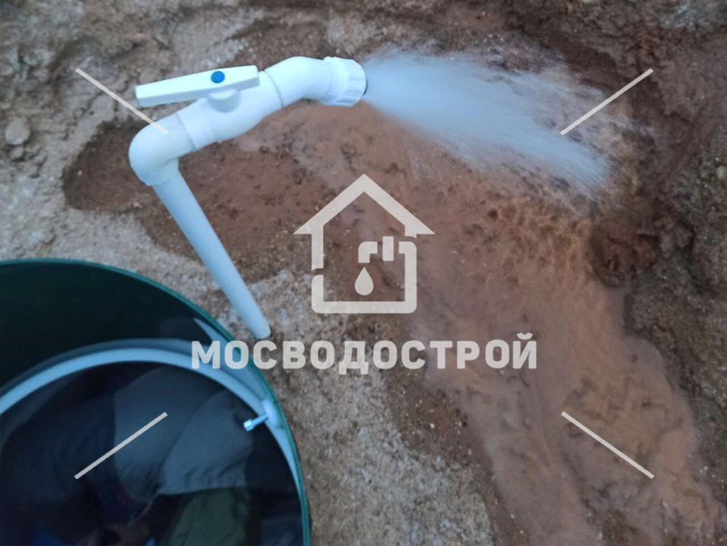 Photo 2023 01 17 09 48 03 копия3