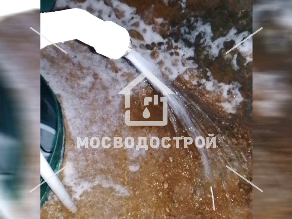 Photo 2023 01 копия 3