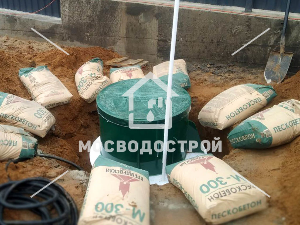 Photo 2022 11 14 03 57 35 копия2
