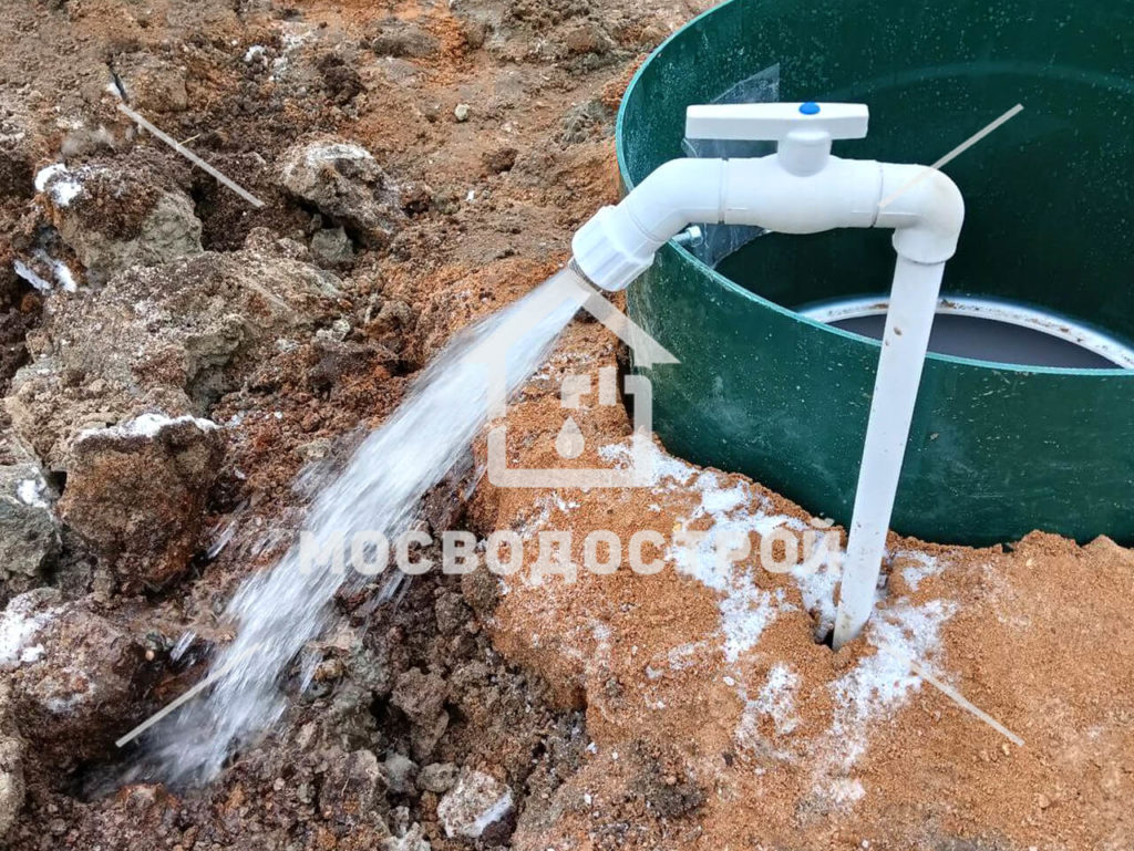 Photo 2023 02 06 07 46 07 копия2