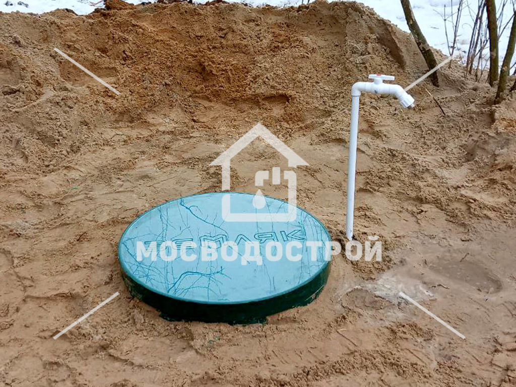Photo 2023 02 06 07 52 19 копия