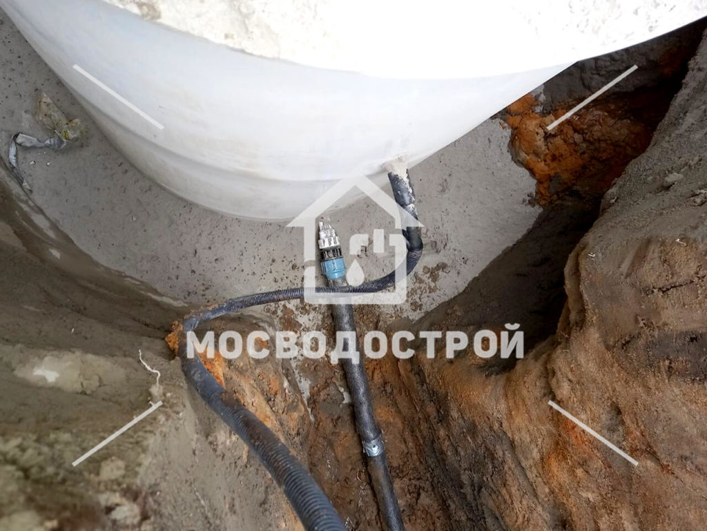 Photo 2023 02 06 07 55 22 копия3