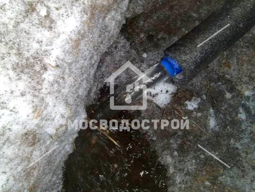 Photo 2023 02 27 13 16 14 копия3