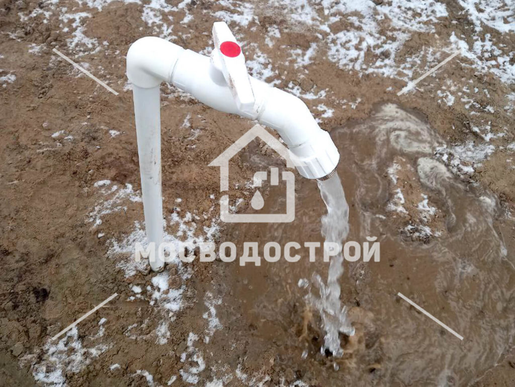 Photo 2023 03 10 18 22 29 копия3