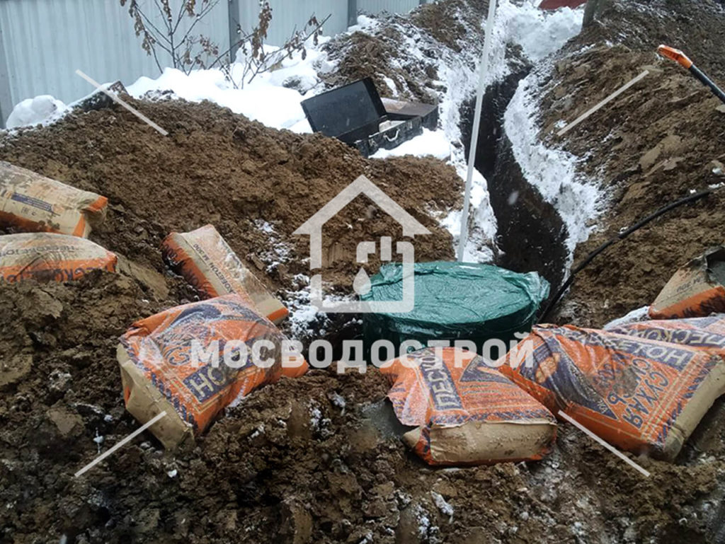 Photo 2023 03 10 18 29 12 копия4