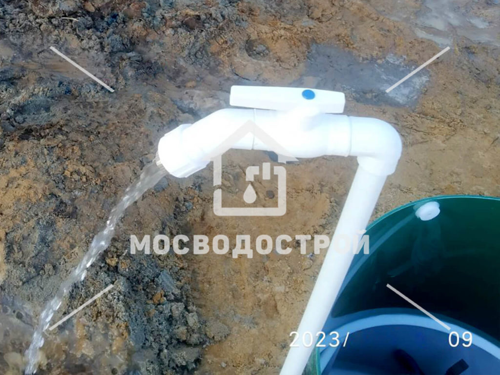 Photo 2023 03 30 02 40 58 копия3