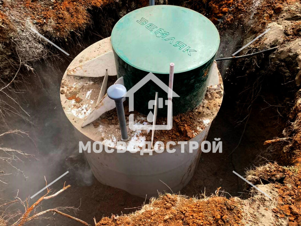 Photo 2023 04 18 03 40 43копия3