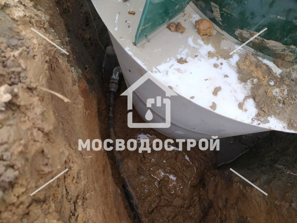 Photo 2023 04 18 03 14 47 копия3