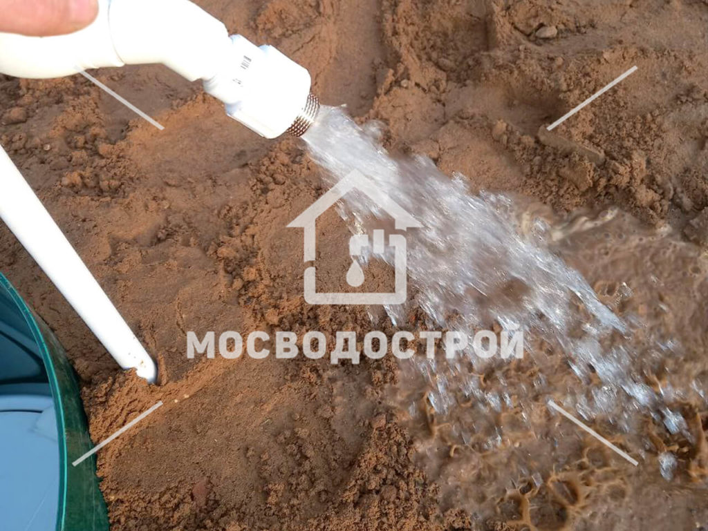 Photo 2023 04 18 03 22 27 копия2