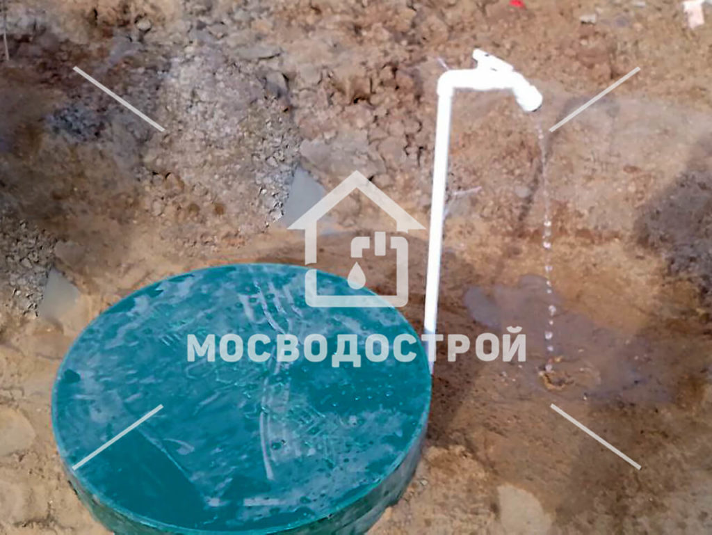Photo 2023 05 02 04 01 11 копия3