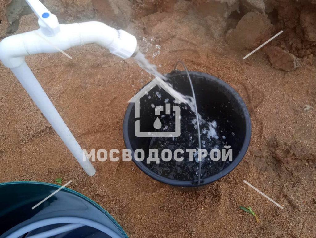 Photo 2023 05 02 04 01 58 копия2