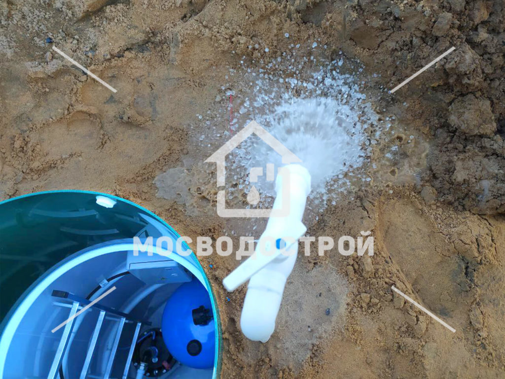 Photo 2023 05 02 04 17 57 копия3