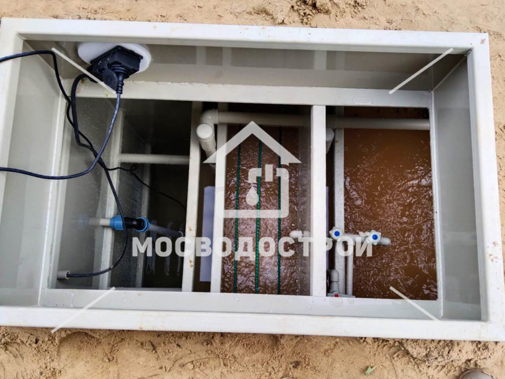 Photo 2023 05 17 06 21 28 копия2