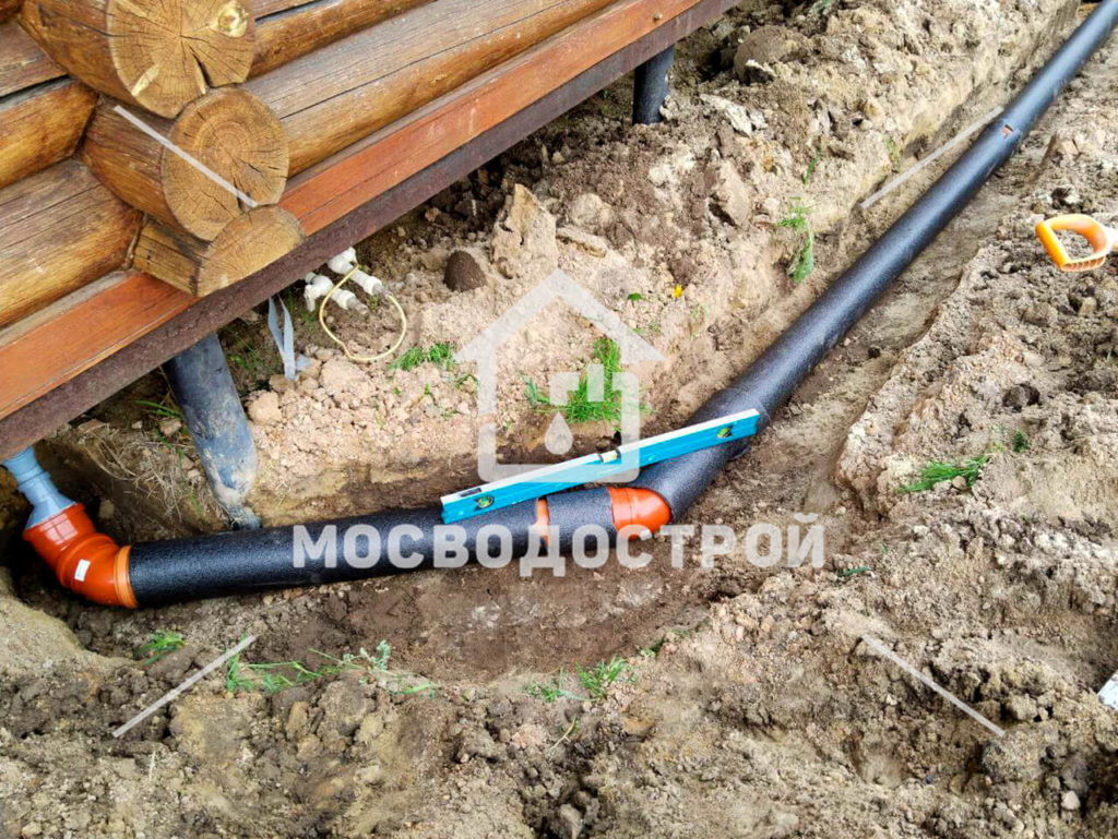 Photo 2023 05 17 06 21 28 копия3