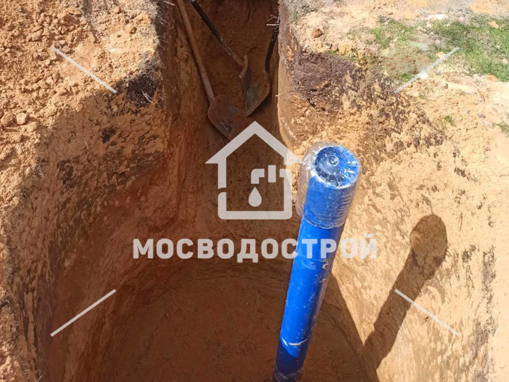 Photo 2023 05 17 06 01 47 копия3