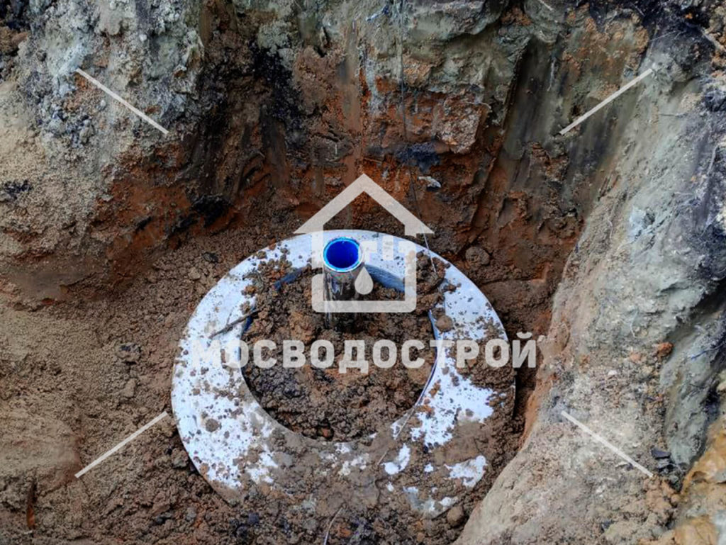 Photo 2023 05 17 06 08 31 копия3