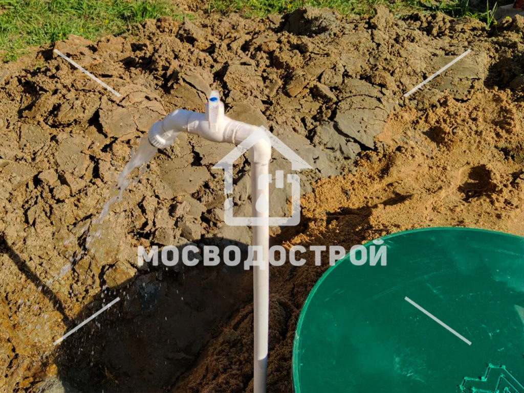 Photo 2023 05 23 00 06 51 копия3