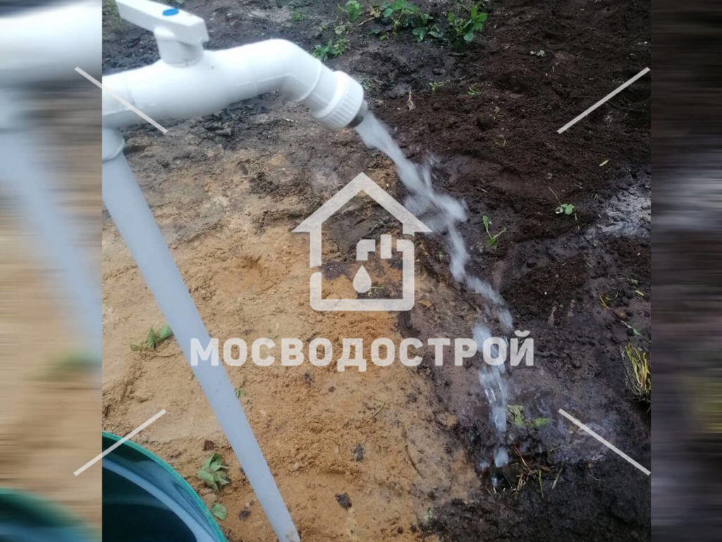 Photo 2023 05 31 03 42 41 копия3
