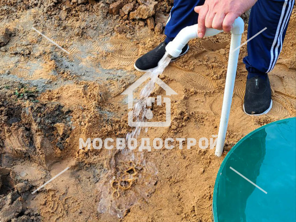 Photo 2023 05 31 03 59 28 копия2