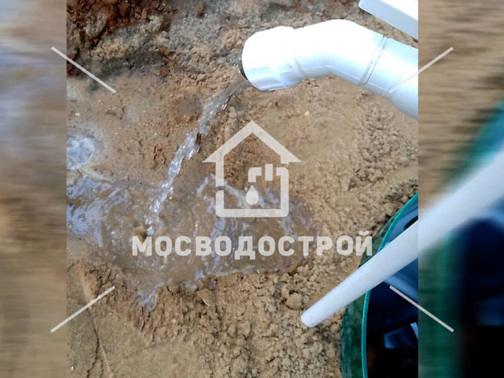 Photo 2023 06 05 14 30 55 копия3